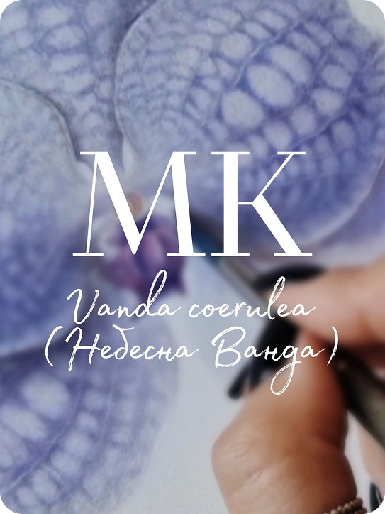 НЕБЕСНА ВАНДА